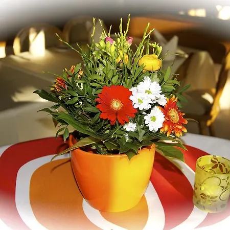 Отель Hotel - Reweschnier Kusel