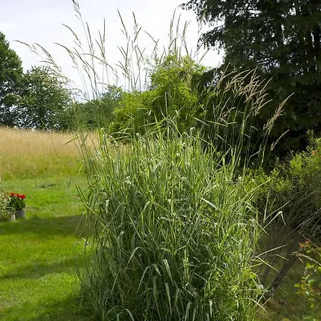 Hotel - Reweschnier 3* Kusel